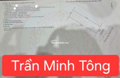 BÁN ĐẤT ĐƯỜNG TRẦN MINH TÔNG - Trục đường toàn biệt thự đẹp